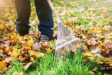 Residential Spring & Fall Cleanup