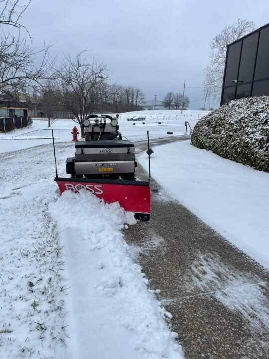 service single images