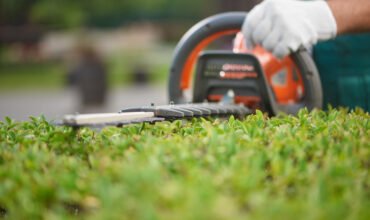 Annual Lawn Property Maintenance