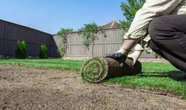 Sod Installation