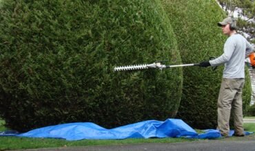 Landscape Maintenace